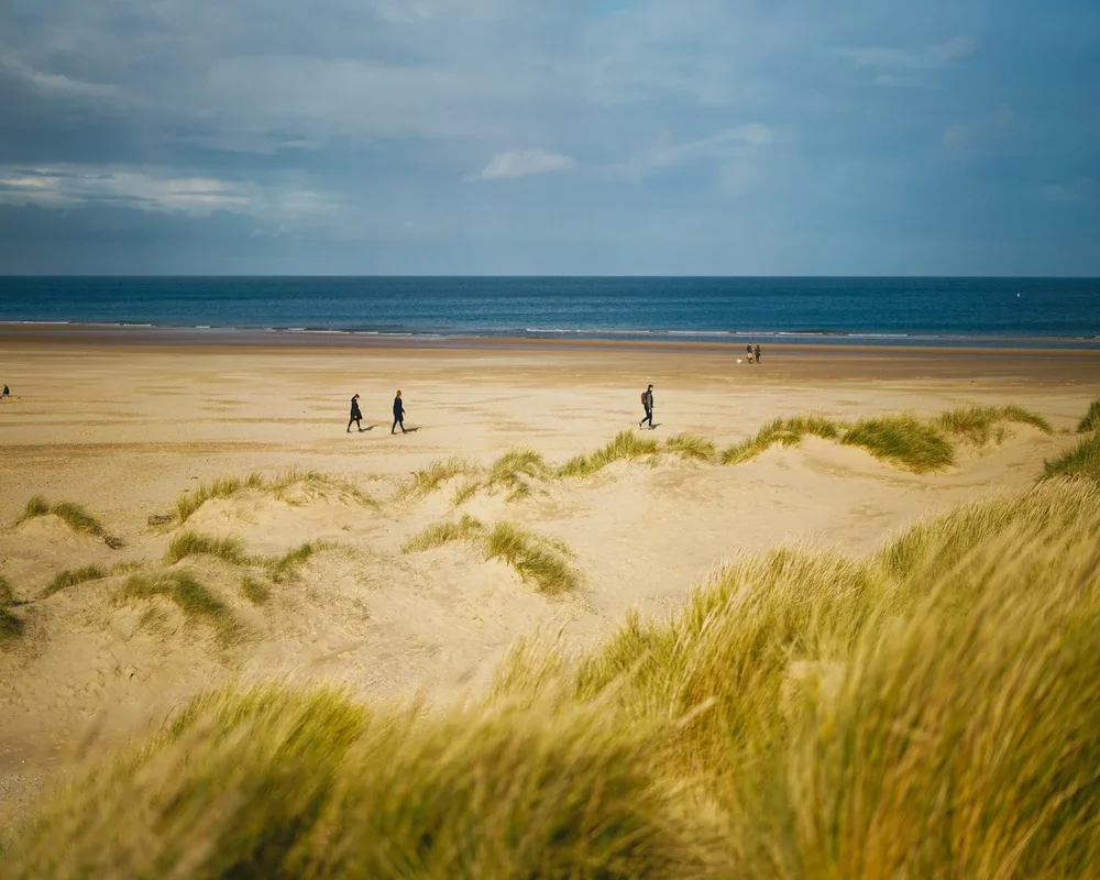 Green Grass on Beach During Daytime